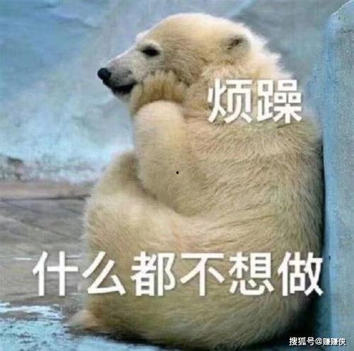 优雅吃瓜群众图片,揭秘网络热议背后的风趣态度