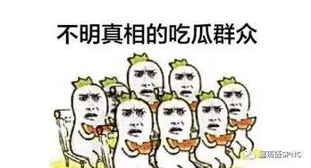 吃瓜群众看主播,吃瓜群众视角下的主播风云录