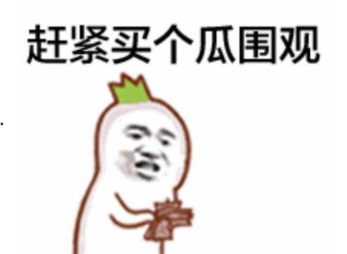 吃瓜群众吃完换双眼睛,一场视觉盛宴的奇妙之旅