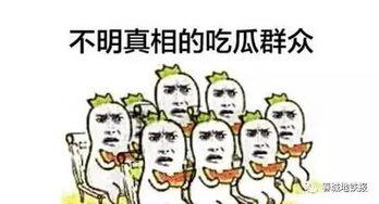 做吃瓜群众感性文案,跟随吃瓜群众的感性之旅