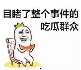 吃瓜群众的主导者有哪些,揭秘吃瓜群众背后的主导力量