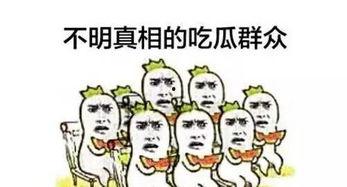 vlog日常吃瓜群众表示惊叹,Vlog记录生活百态
