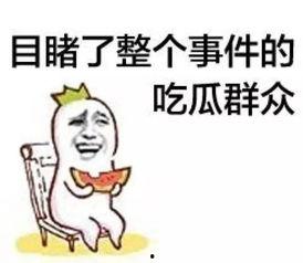 吃瓜群众布贴,揭秘吃瓜群众布贴背后的趣味与智慧