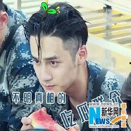 宋丹丹吃瓜群众是真的吗,宋丹丹吃瓜群众传闻真相揭秘