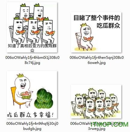 吃瓜群众小猫图片表情包,小猫表情包里的欢乐时光