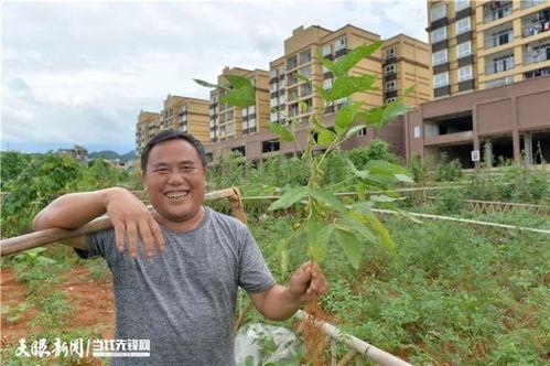 吃瓜群众田园生活,吃瓜群众的悠闲时光